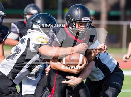 Thumbnail 1 in Klein Oak @ Langham Creek (sophomore) photogallery.