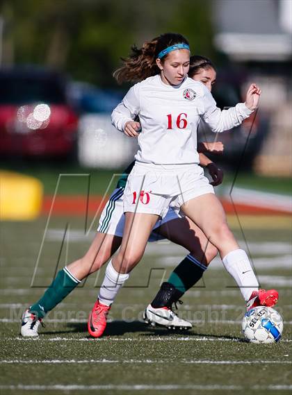 Thumbnail 3 in Mehlville vs Bishop DuBourg (Lutheran South Tournament) photogallery.