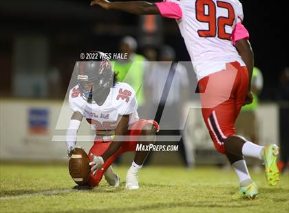 Thumbnail 2 in Center Hill @ DeSoto Central photogallery.