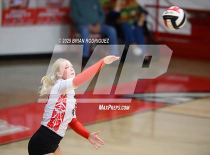 Thumbnail 2 in Paragould @ Westside photogallery.