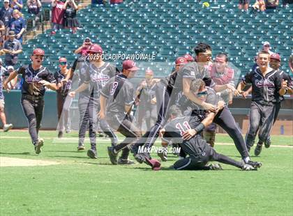 Thumbnail 2 in Pleasant Grove vs. Calallen (UIL Baseball 4A Div 1 Final) photogallery.