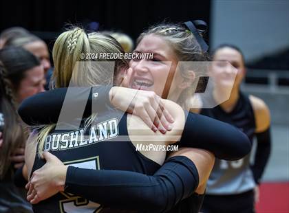 Thumbnail 2 in Goliad vs. Bushland (UIL 3A Volleyball Division I Final) photogallery.