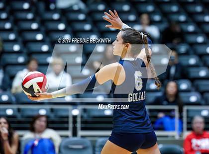 Thumbnail 3 in Goliad vs. Bushland (UIL 3A Volleyball Division I Final) photogallery.