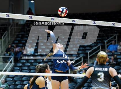 Thumbnail 2 in Goliad vs. Bushland (UIL 3A Volleyball Division I Final) photogallery.