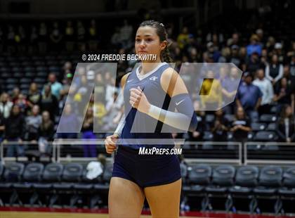 Thumbnail 3 in Goliad vs. Bushland (UIL 3A Volleyball Division I Final) photogallery.