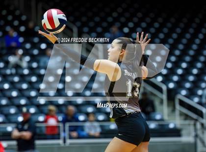 Thumbnail 3 in Goliad vs. Bushland (UIL 3A Volleyball Division I Final) photogallery.