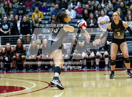 Thumbnail 1 in Goliad vs. Bushland (UIL 3A Volleyball Division I Final) photogallery.