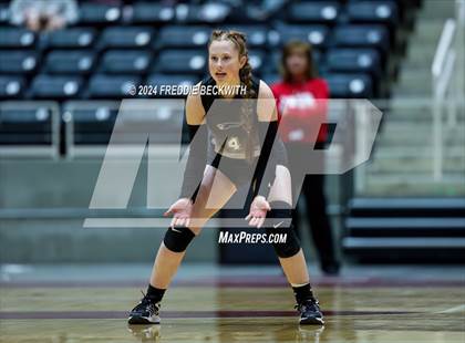 Thumbnail 1 in Goliad vs. Bushland (UIL 3A Volleyball Division I Final) photogallery.