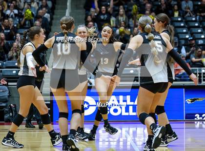 Thumbnail 1 in Goliad vs. Bushland (UIL 3A Volleyball Division I Final) photogallery.
