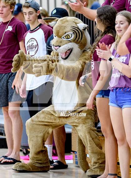 Thumbnail 2 in Whitney vs. Roseville (CIF SJS D1 Final) photogallery.