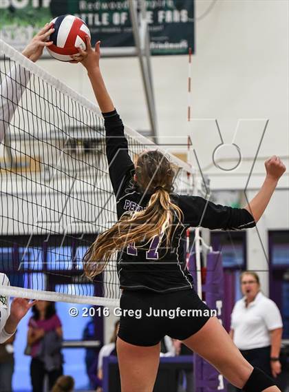 Thumbnail 2 in Maria Carrillo @ Petaluma photogallery.