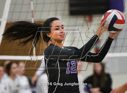 Thumbnail 3 in Maria Carrillo @ Petaluma photogallery.