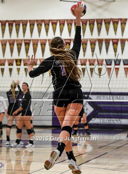 Thumbnail 1 in Maria Carrillo @ Petaluma photogallery.