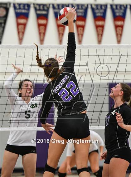 Thumbnail 1 in Maria Carrillo @ Petaluma photogallery.