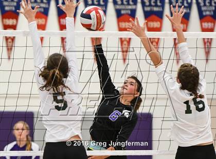 Thumbnail 3 in Maria Carrillo @ Petaluma photogallery.