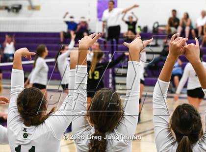 Thumbnail 1 in Maria Carrillo @ Petaluma photogallery.