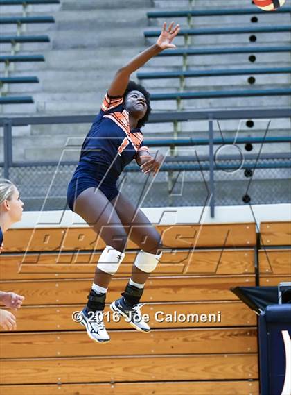 Thumbnail 1 in MacArthur [Douglas] vs Brandeis (Paul Taylor Gym) photogallery.