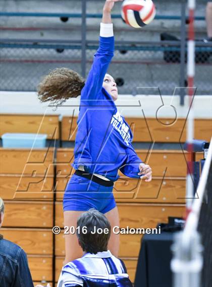 Thumbnail 1 in MacArthur [Douglas] vs Brandeis (Paul Taylor Gym) photogallery.