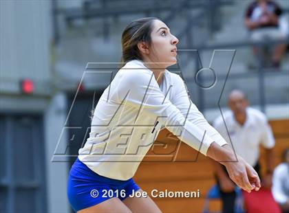 Thumbnail 1 in MacArthur [Douglas] vs Brandeis (Paul Taylor Gym) photogallery.
