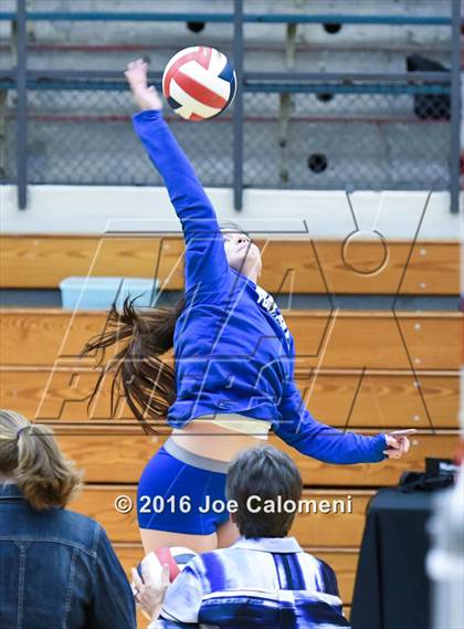 Thumbnail 3 in MacArthur [Douglas] vs Brandeis (Paul Taylor Gym) photogallery.