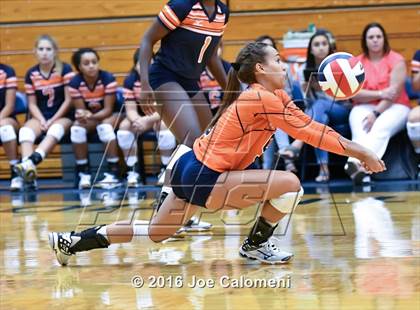 Thumbnail 2 in MacArthur [Douglas] vs Brandeis (Paul Taylor Gym) photogallery.