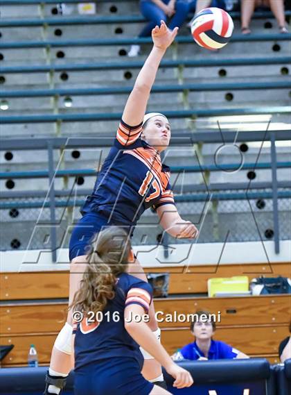 Thumbnail 1 in MacArthur [Douglas] vs Brandeis (Paul Taylor Gym) photogallery.