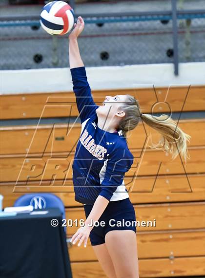 Thumbnail 2 in MacArthur [Douglas] vs Brandeis (Paul Taylor Gym) photogallery.
