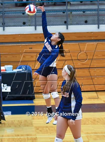 Thumbnail 1 in MacArthur [Douglas] vs Brandeis (Paul Taylor Gym) photogallery.