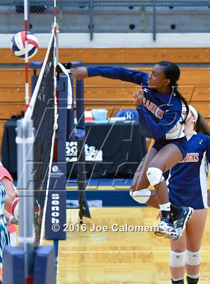 Thumbnail 1 in MacArthur [Douglas] vs Brandeis (Paul Taylor Gym) photogallery.