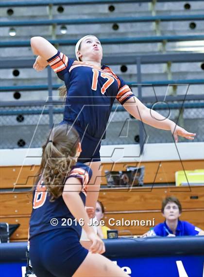 Thumbnail 3 in MacArthur [Douglas] vs Brandeis (Paul Taylor Gym) photogallery.
