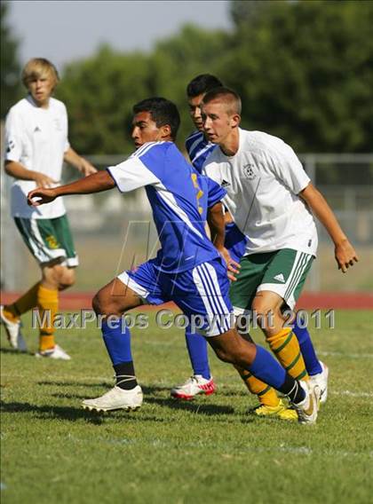 Thumbnail 2 in Linden vs. Sonora photogallery.