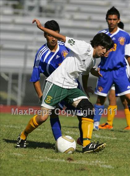 Thumbnail 1 in Linden vs. Sonora photogallery.