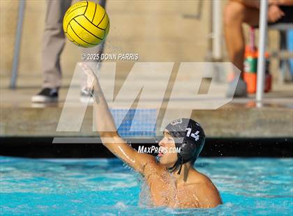 Thumbnail 1 in Bonita @ Damien photogallery.