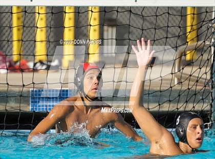 Thumbnail 2 in Bonita @ Damien photogallery.