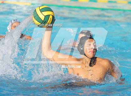 Thumbnail 1 in Bonita @ Damien photogallery.
