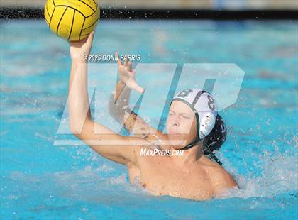 Thumbnail 2 in Bonita @ Damien photogallery.
