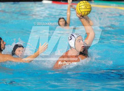 Thumbnail 3 in Bonita @ Damien photogallery.