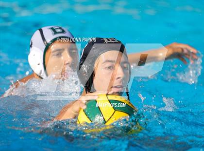 Thumbnail 3 in Bonita @ Damien photogallery.