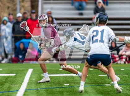 Thumbnail 3 in Golden vs Evergreen photogallery.