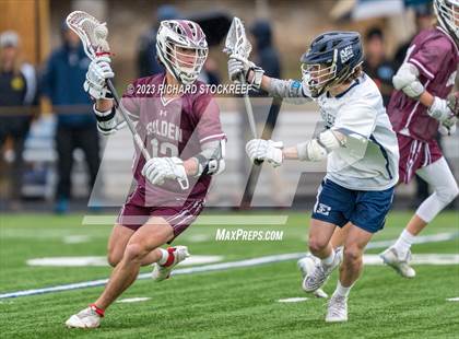 Thumbnail 3 in Golden vs Evergreen photogallery.
