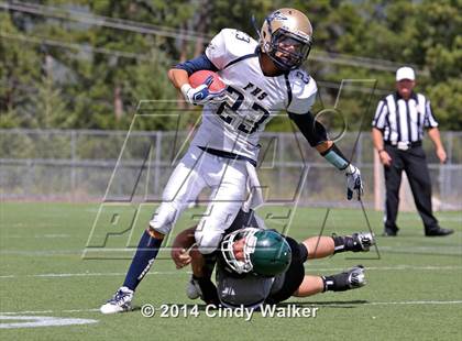 Thumbnail 1 in Frederick @ Conifer photogallery.