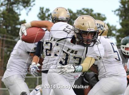 Thumbnail 2 in Frederick @ Conifer photogallery.