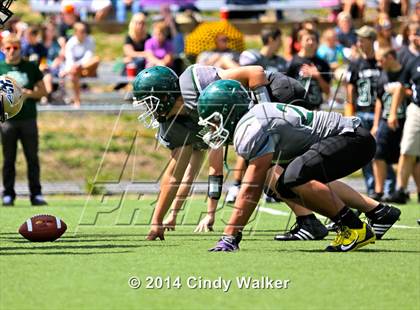 Thumbnail 2 in Frederick @ Conifer photogallery.