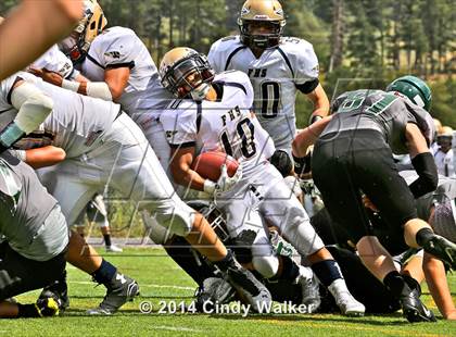 Thumbnail 3 in Frederick @ Conifer photogallery.