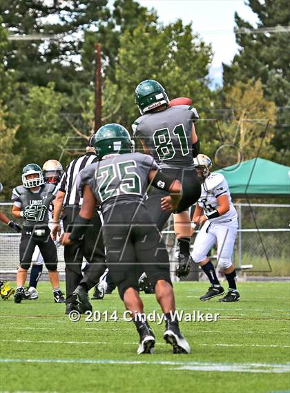 Thumbnail 1 in Frederick @ Conifer photogallery.