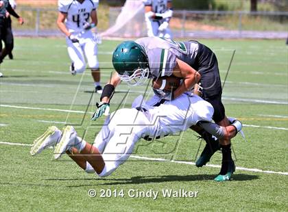 Thumbnail 3 in Frederick @ Conifer photogallery.