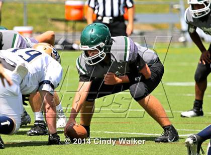 Thumbnail 1 in Frederick @ Conifer photogallery.
