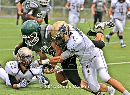 Thumbnail 3 in Frederick @ Conifer photogallery.