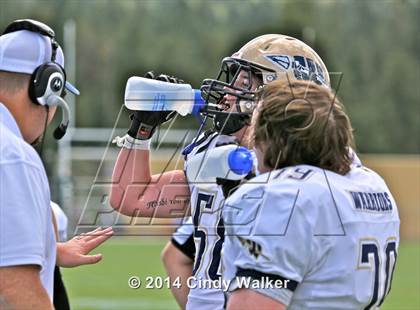 Thumbnail 1 in Frederick @ Conifer photogallery.