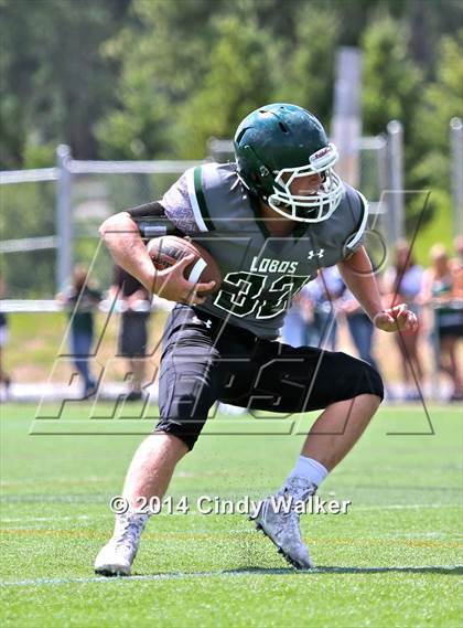 Thumbnail 1 in Frederick @ Conifer photogallery.